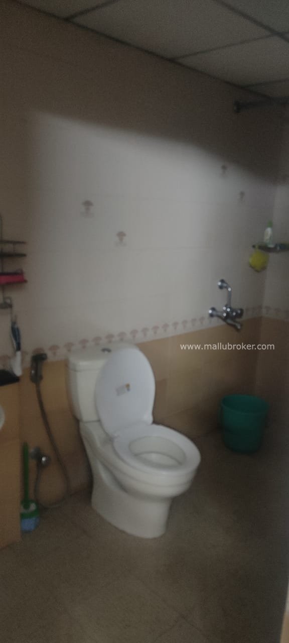 3bhk flat for sal e in palarivattoom @49lacs